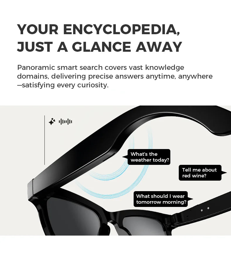AI glasses with 5-megapixel camera, voice assistant, and translation